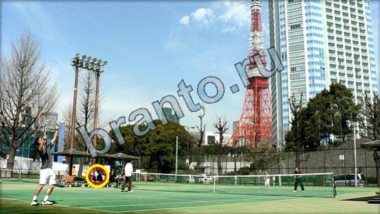 Где же кот ответы в одноклассниках Уровень 2559