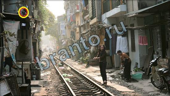 ответы на игру Где же кот Уровень 2601