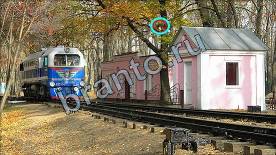 ответы на игру в одноклассниках Где же кот Уровень 2606