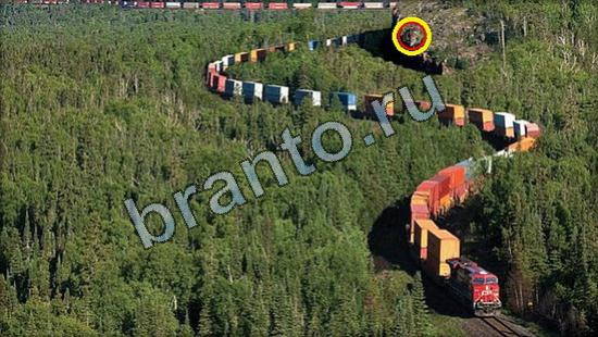 решебник на игру Где же кот Уровень 2611