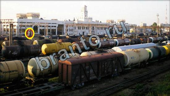 Где же кот? решения Уровень 2612