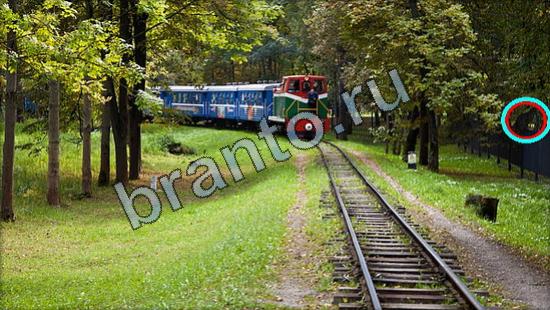 Где же кот игра подсказки Уровень 2614