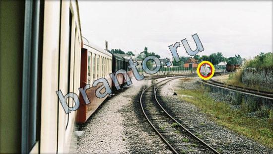 Где же кот игра помощь Уровень 2615