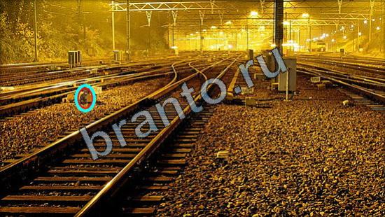 Игра Где же кот ответы Уровень 2617