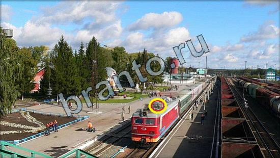 Игра Где же кот подсказки Уровень 2618