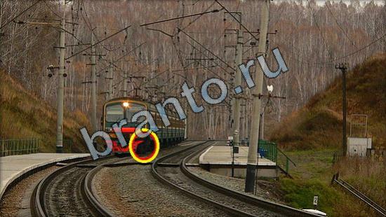 игра Где же кот помощь Уровень 2619