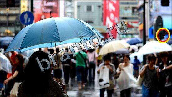 прохождение на игру Где же кот Уровень 2621