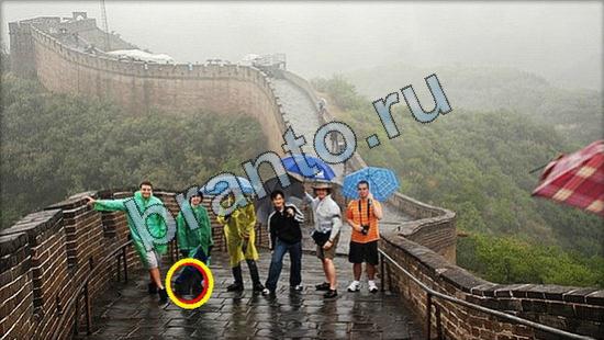 Где же кот прохождение игры Уровень 2622