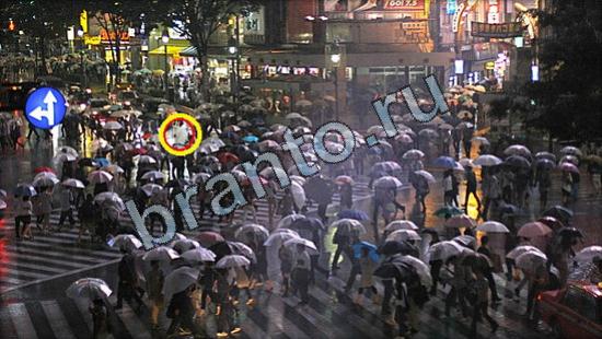 ответы для игры Где же кот Уровень 2627