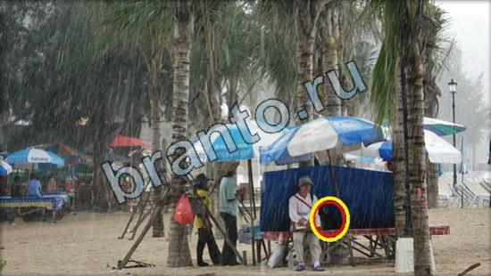 решения для игры Где же кот Уровень 2628