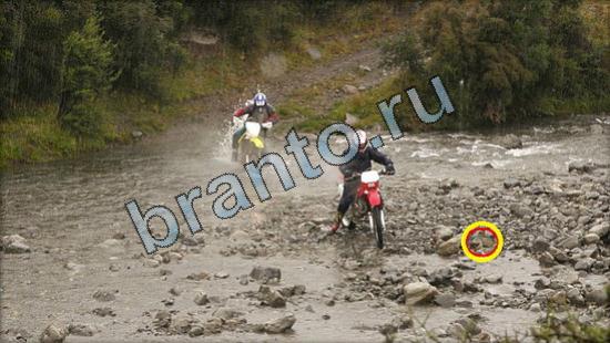 Где же кот игра ответы Уровень 2629