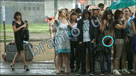 ответы на игру Где же кот в скриншотах Уровень 2632