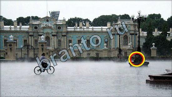 Где же кот ответы на новые задания Уровень 2633