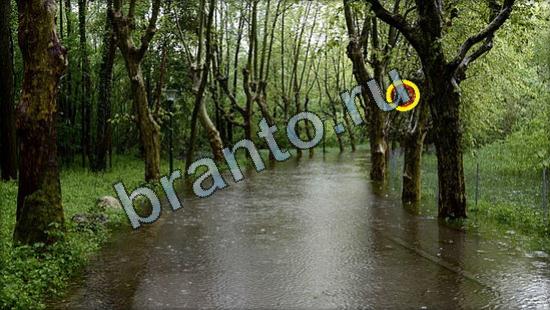 ответы на игру Где же кот Уровень 2634