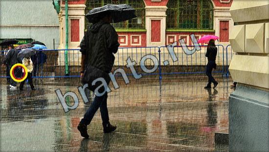 решения на игру Где же кот Уровень 2635