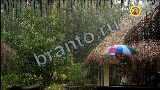 ответы на игру Где же кот Уровень 2636