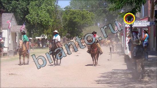 ответы на игру Где же кот Уровень 2921