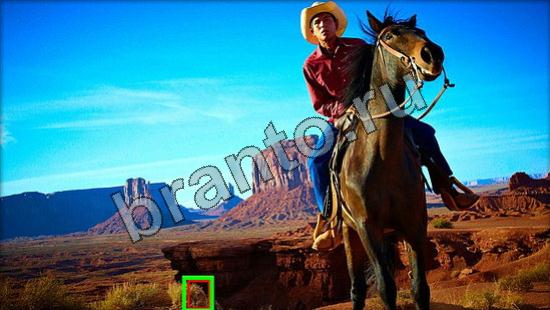 Подсказки на игру Где же кот Уровень 2922