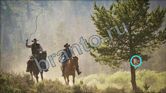 ответы к игре Где же кот Уровень 2925