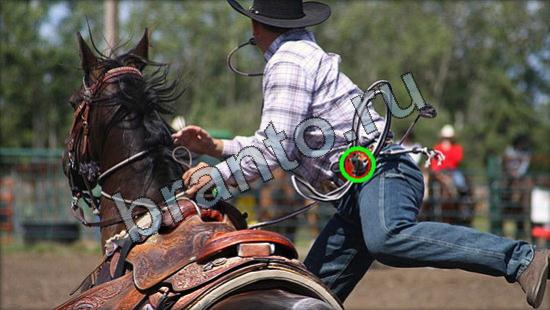 Где же кот игра ответы в одноклассниках Уровень 2927