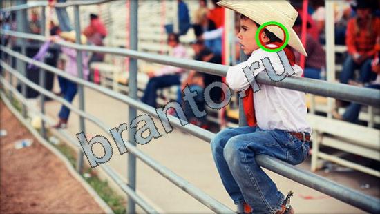 Где же кот? подсказки Уровень 2929