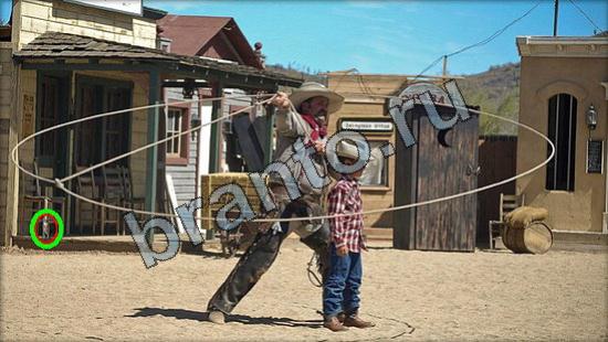 Где же кот игра подсказки Уровень 2934