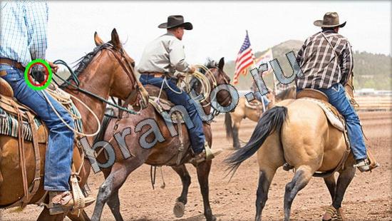 Где же кот ответы в картинках Уровень 2936