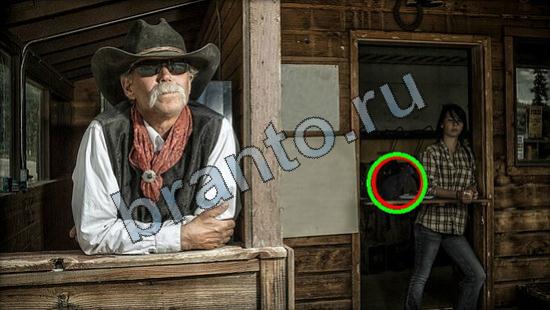 Игра Где же кот ответы Уровень 2937