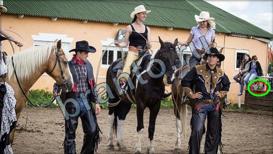 игра Где же кот помощь Уровень 2939