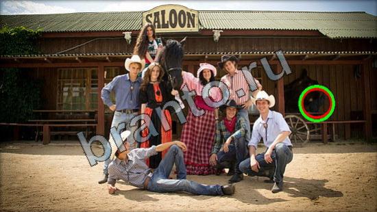 Игра Где же кот прохождение Уровень 2940