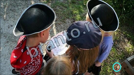 Где же кот прохождение игры Уровень 2942