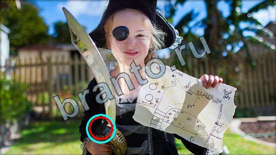 ответы Где же кот? в одноклассниках Уровень 2946