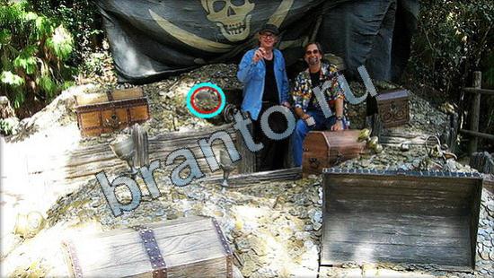 ответы для игры Где же кот Уровень 2947