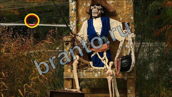 Где же кот ответы на новые задания Уровень 2953