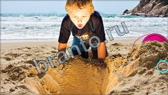 Где же кот игра ответы Уровень 2960