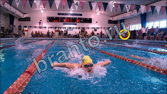 Подсказки на игру Где же кот Уровень 3002