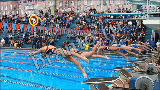 Решения на игру Где же кот Уровень 3003