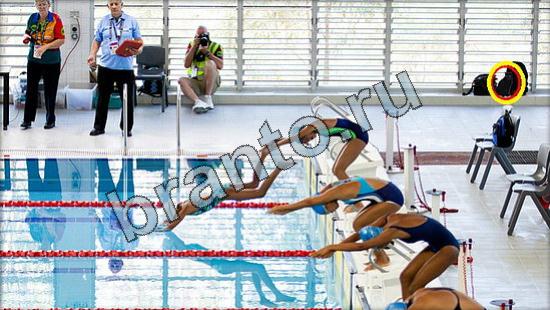 Помощь на игру Где же кот Уровень 3004