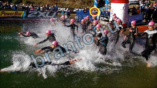 ответы к игре Где же кот Уровень 3005