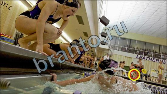 ответы на игру в одноклассниках Где же кот Уровень 3006