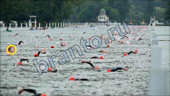 Где же кот игра ответы в одноклассниках Уровень 3007