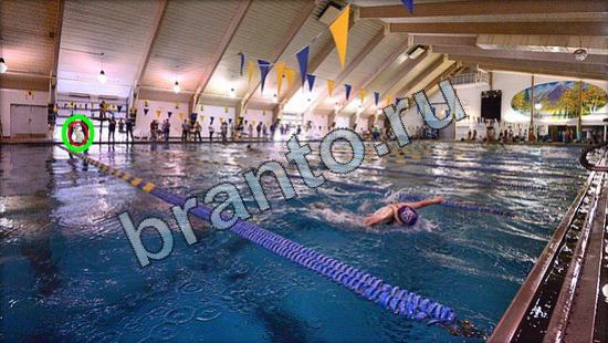 Где же кот? ответы Уровень 3008