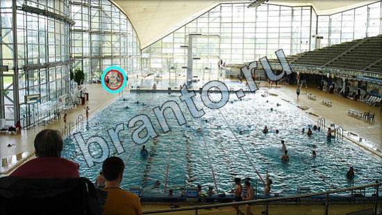 Где же кот? решения Уровень 3012