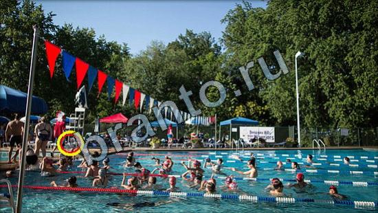 Где же кот ответы в картинках Уровень 3016