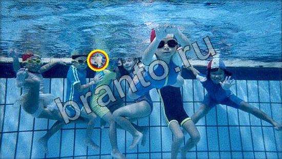 Игра Где же кот ответы Уровень 3017