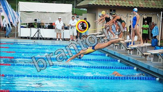 Игра Где же кот подсказки Уровень 3018