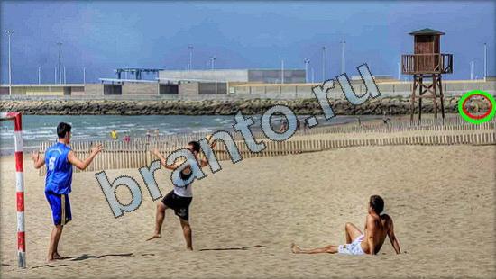 ответы на игру Где же кот Уровень 3036