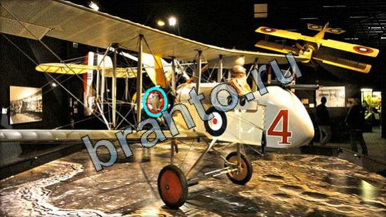 ответы на игру Где же кот Уровень 3041