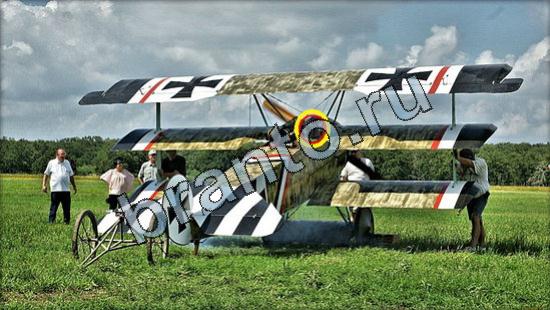 Решения на игру Где же кот Уровень 3043