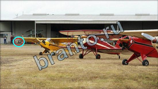 Помощь на игру Где же кот Уровень 3044